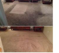 Clean Customs Carpet Cleaning image 4